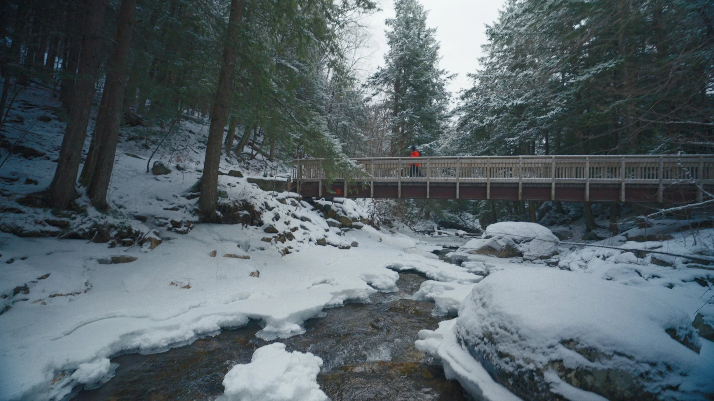 Frame grab from The Distance We Run