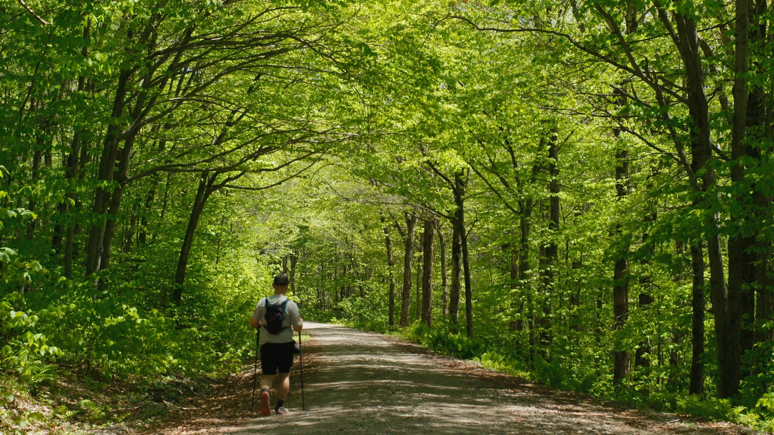 Frame grab from The Distance We Run